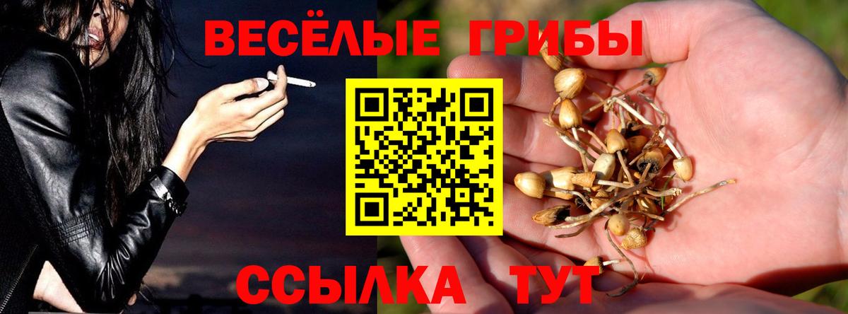 Псилоцибиновые грибы мухоморы Гудермес